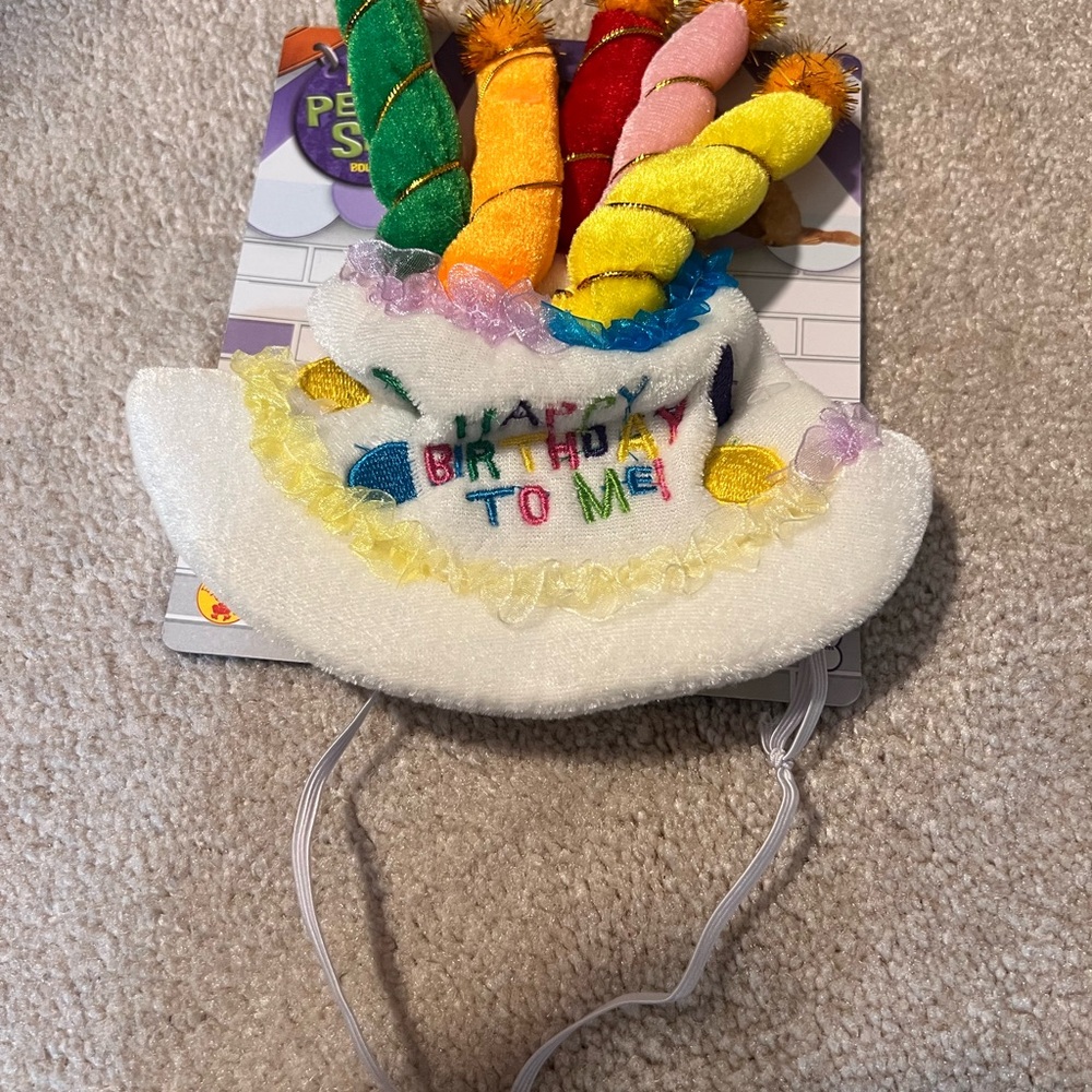 Colorful Birthday Hat for Pets!